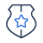 government icon