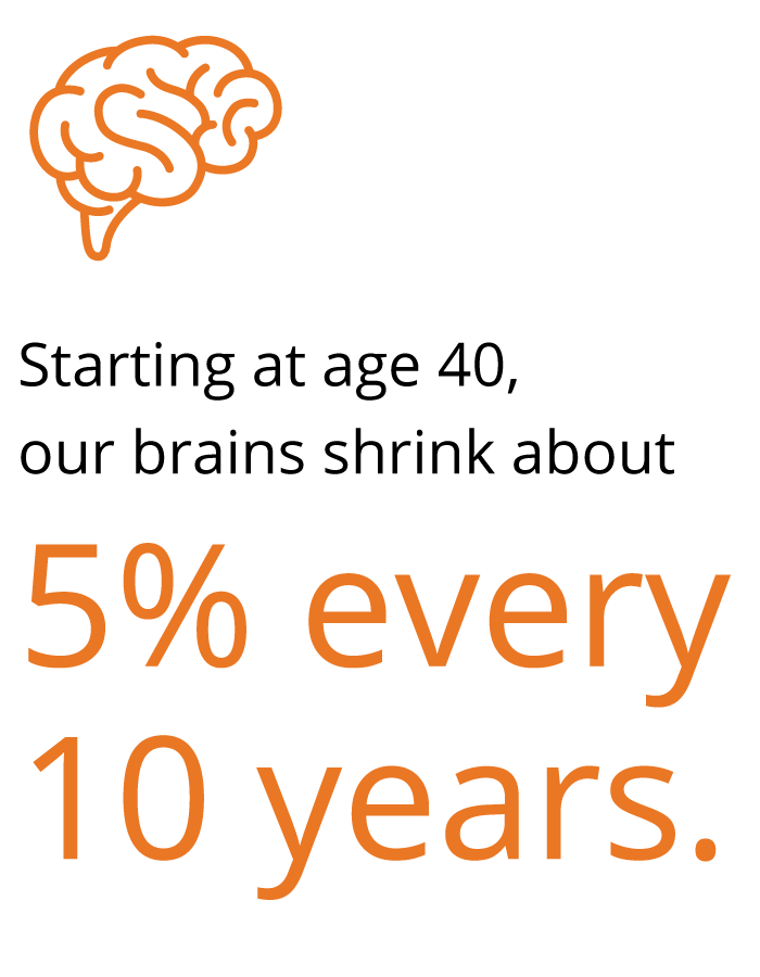 Starting at age 40,  our brains shrink about  5% every  10 years.