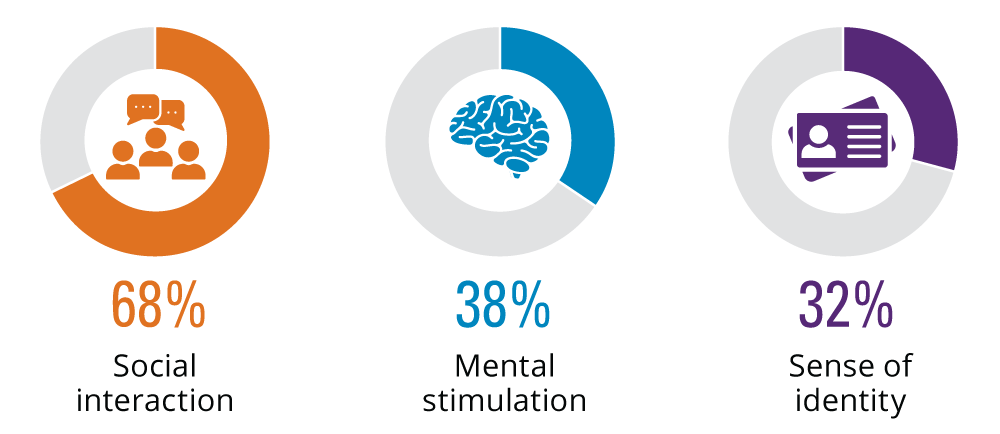 68% social interaction, 38% Mental stimulation, 32% Sense of identity